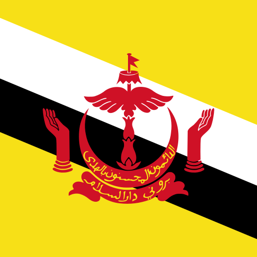 Brunei Darussalam Unlimited - roamyesim
